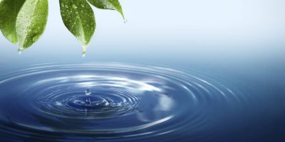 Essential Water Life Crop Thriving People